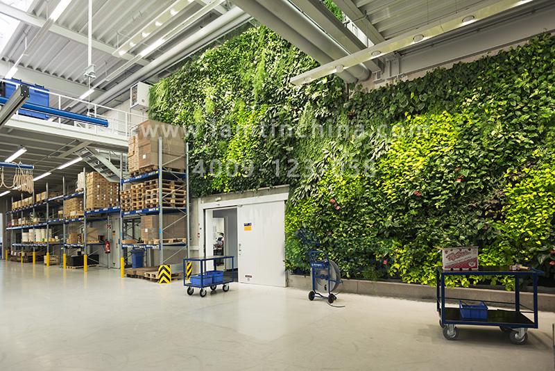 植物墻花盆 植物墻花盆