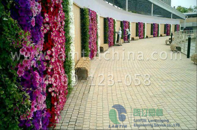 植物墻種植盆 植物墻種植盆