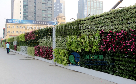 墻體綠化花盆 墻體綠化花盆