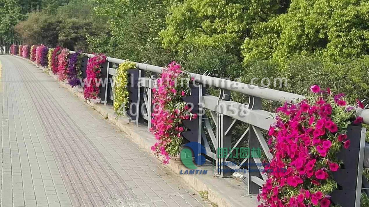 墻體綠化 墻體綠化