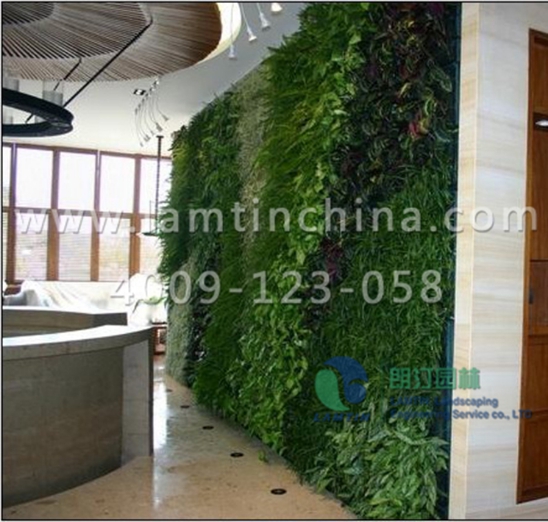 室內(nèi)墻體綠化花盆 室內(nèi)墻體綠化花盆