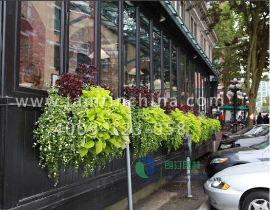 垂直綠化 垂直綠化