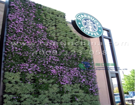 立體綠化 立體綠化