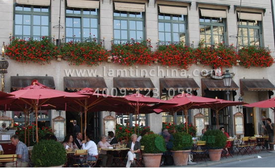 立體綠化之窗臺陽臺綠化 立體綠化之窗臺陽臺綠化