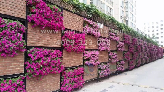 墻體綠化 墻體綠化