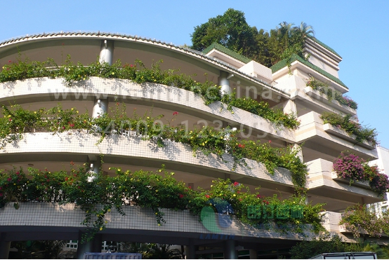 窗臺(tái)陽(yáng)臺(tái)綠化 窗臺(tái)陽(yáng)臺(tái)綠化