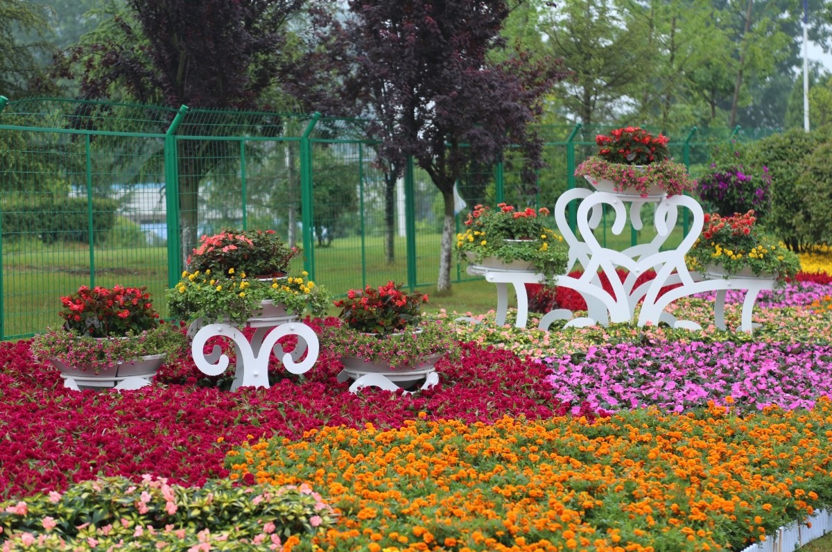 景觀鐵藝花架 景觀鐵藝花架