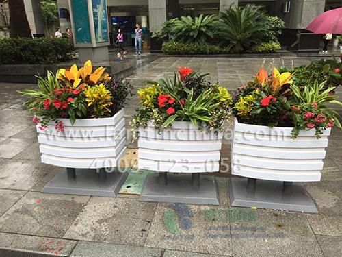 花箱 花箱
