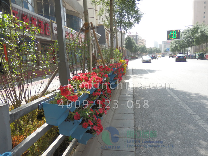 護欄綠化 護欄綠化