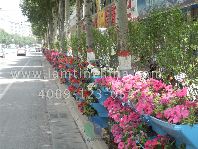 護欄綠化 護欄綠化