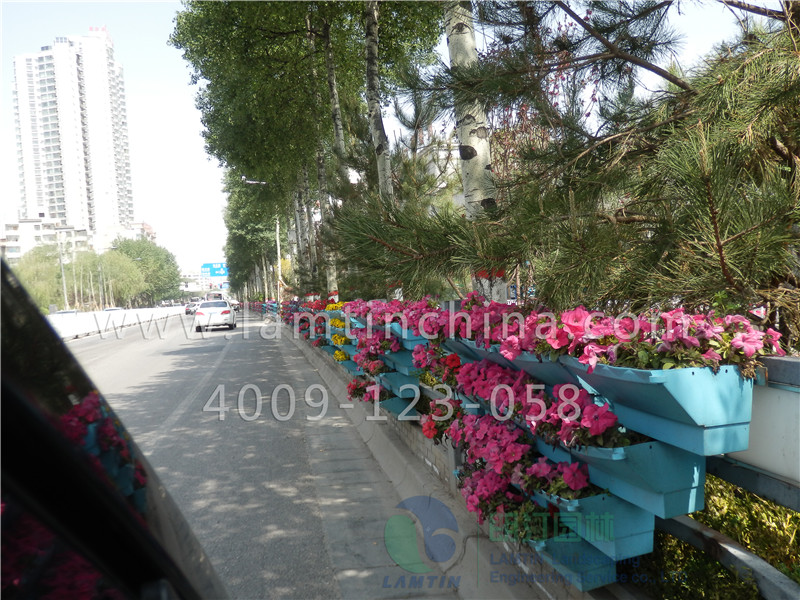 護欄綠化 護欄綠化