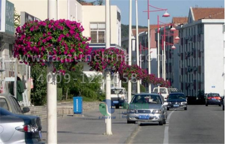 電線桿花盆 電線桿花盆