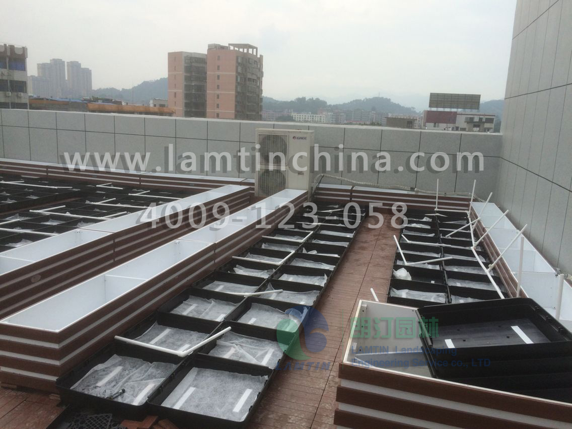 屋頂綠化 屋頂綠化