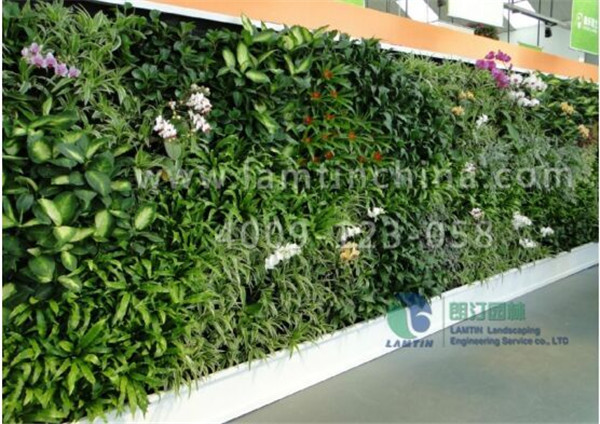 墻體綠化 墻體綠化