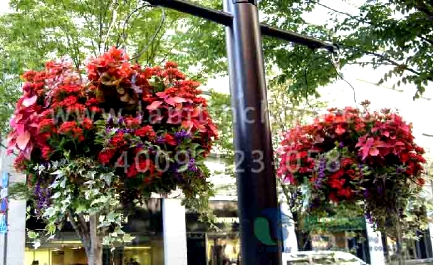 電線桿花盆 電線桿花盆