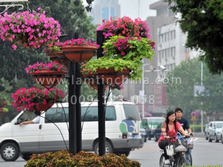 電線桿花盆 電線桿花盆