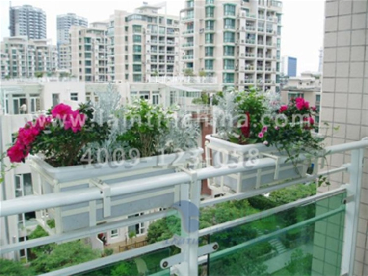 窗臺陽臺綠化 窗臺陽臺綠化