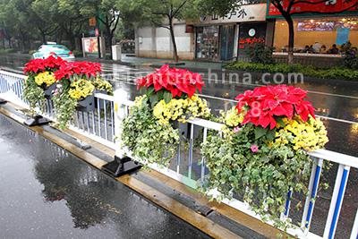 護欄綠化 護欄綠化