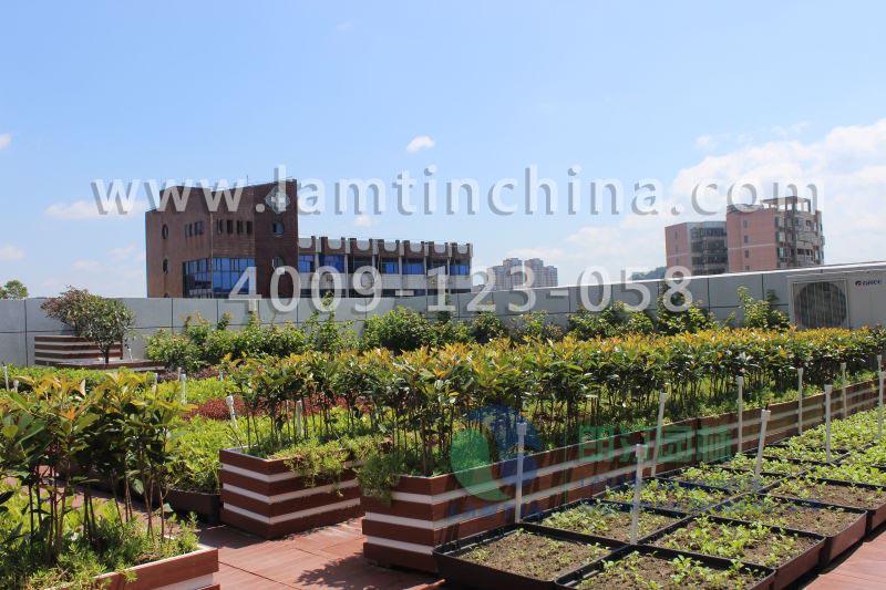 屋頂綠化 屋頂綠化