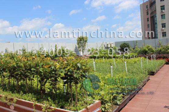 屋頂綠化 屋頂綠化