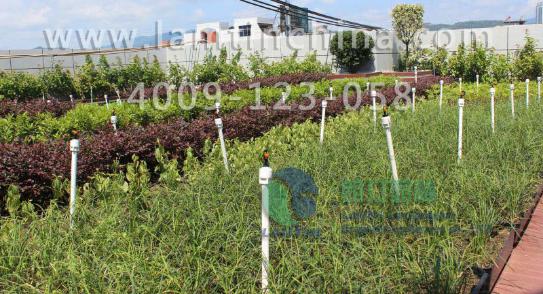 屋頂綠化 屋頂綠化