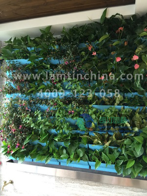 墻體綠化 墻體綠化