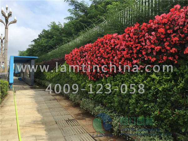 墻體綠化 墻體綠化