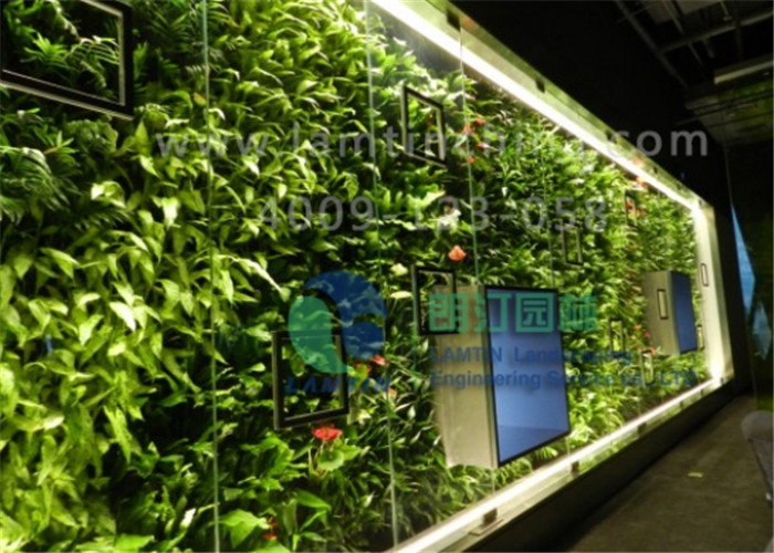 墻體綠化 墻體綠化