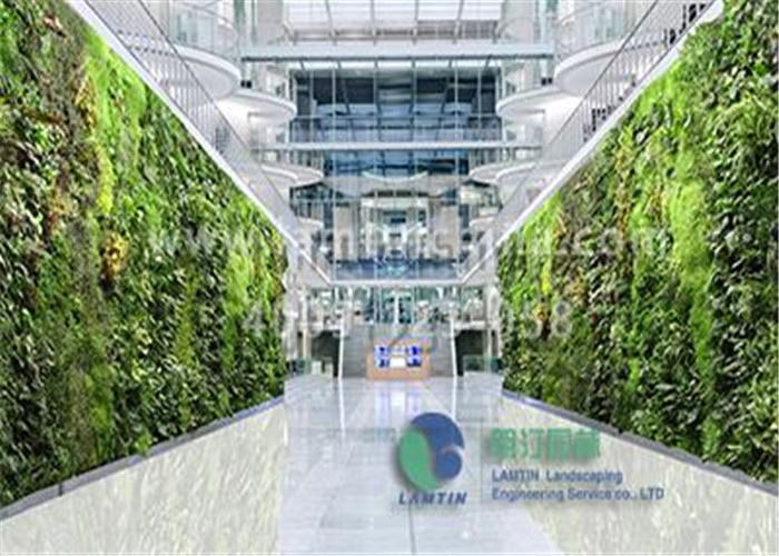 安徽朗汀垂直墻體綠化 安徽朗汀垂直墻體綠化