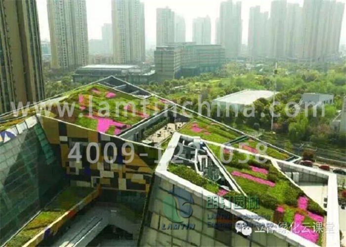 屋頂綠化 屋頂綠化