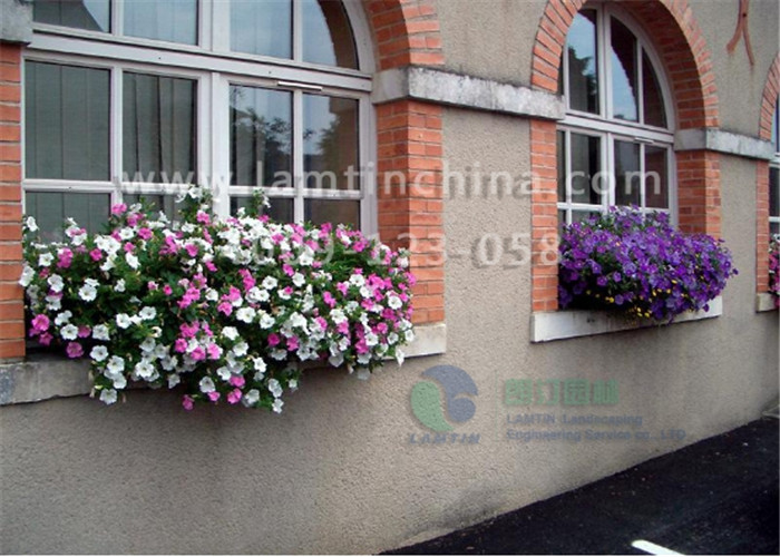 安徽朗汀窗臺(tái)陽(yáng)臺(tái)綠化