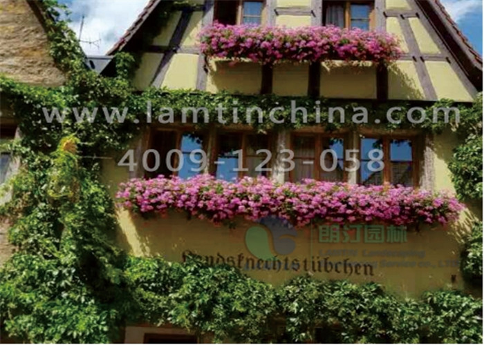 安徽朗汀窗臺(tái)陽(yáng)臺(tái)綠化 安徽朗汀窗臺(tái)陽(yáng)臺(tái)綠化