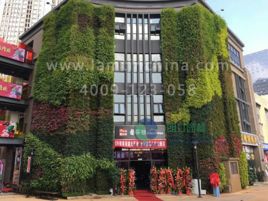 安徽朗汀墻體綠化 安徽朗汀墻體綠化