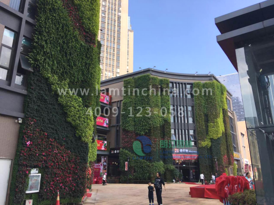 安徽朗汀植物墻 安徽朗汀植物墻