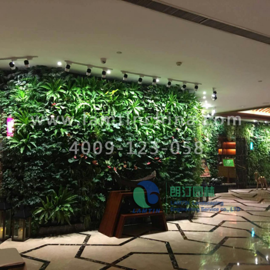 安徽朗汀植物墻