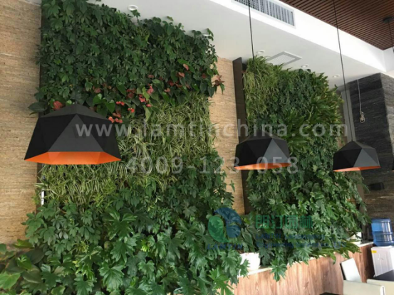 安徽朗汀植物墻 安徽朗汀植物墻