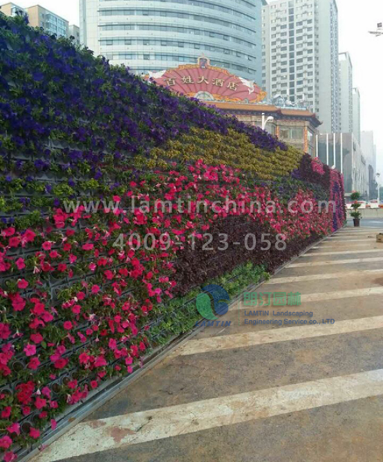 墻體綠化 墻體綠化
