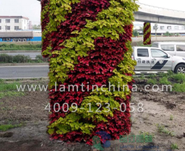 立體綠化 立體綠化