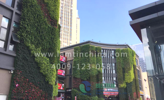 墻體綠化 墻體綠化
