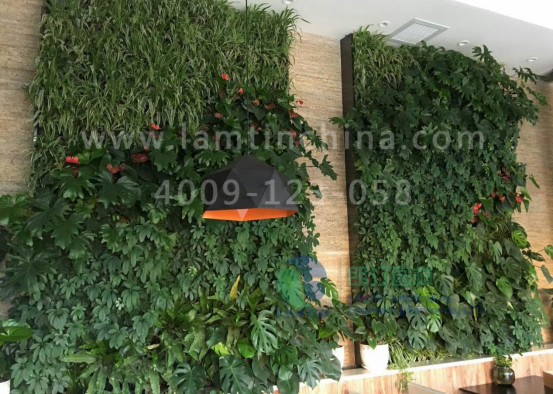 墻體綠化 墻體綠化