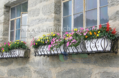 朗汀園林窗臺陽臺綠化 朗汀園林窗臺陽臺綠化