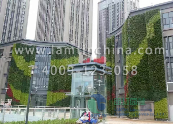 墻體綠化 墻體綠化