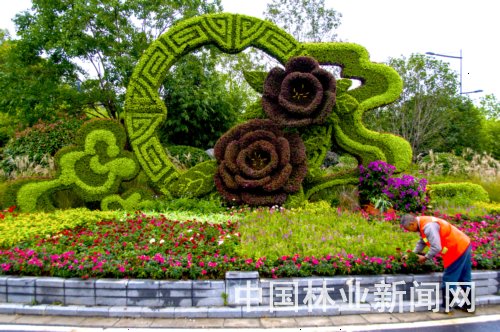 立體綠化 立體綠化