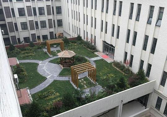 屋頂綠化 屋頂綠化