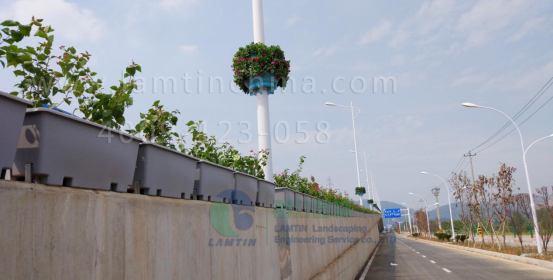 燈桿吊盆 燈桿吊盆