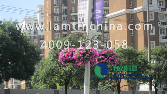 燈桿吊盆 燈桿吊盆