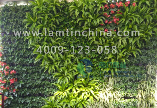 墻體綠化 墻體綠化