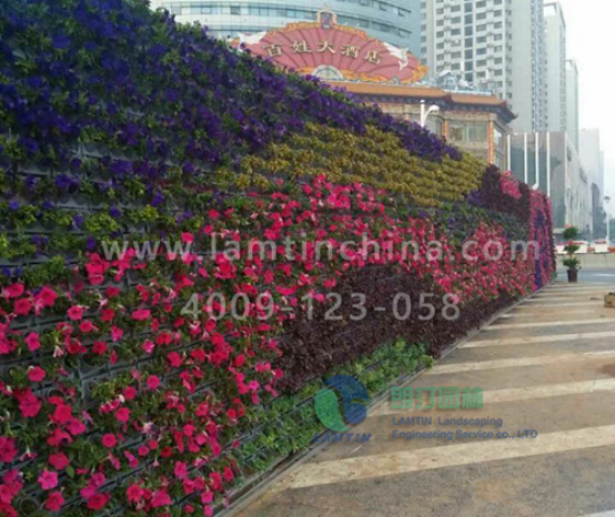 墻體綠化 墻體綠化