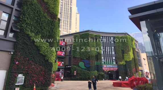 墻體綠化 墻體綠化