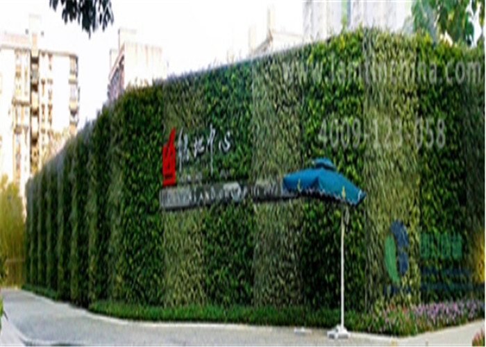 垂直綠化種植盒 垂直綠化種植盒